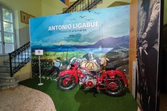 ANTONIO LIGABUE: i misteri di una mente