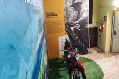 ANTONIO LIGABUE: i misteri di una mente