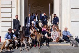 Cani in Posa