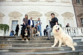 Cani in Posa