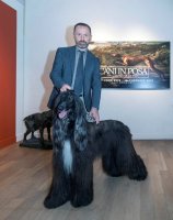 Cani in Posa