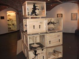 Micromega: the art of wonder