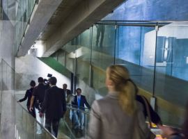 Percezione e Illusione