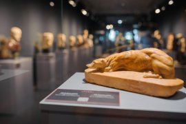 Roma Aeterna a Novi Sad