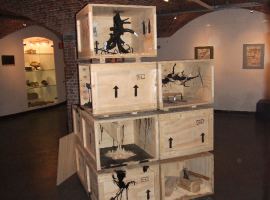 Micromega: the art of wonder