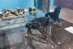 IMG_20240927_185218