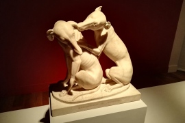 Dogs in Poses