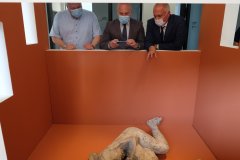 LIFE AND DEATH: Glory of Pompeii