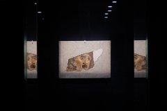 LIFE AND DEATH: Glory of Pompeii