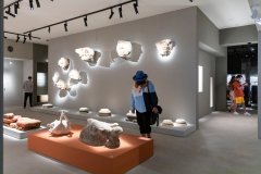 LIFE AND DEATH: Glory of Pompeii