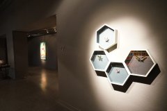 The (In)Visible Stories